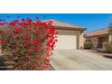 Welcoming single-story house with a two-car garage and vibrant bougainvillea at 10792 W Elm Ln, Avondale, AZ 85323