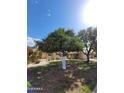 Landscaped front yard featuring mature citrus trees and well-maintained green grass at 11108 W Cameo Dr, Sun City, AZ 85351