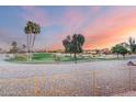 Scenic golf course view with towering palm trees and picturesque landscaping enhancing the overall appeal at 19793 N Tapestry Ct, Surprise, AZ 85374