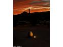 Picturesque desert landscape featuring a beautiful sunrise and a variety of cacti at 4143 W Sunset W Dr, New River, AZ 85087