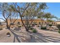 Inviting home featuring desert landscaping, mature trees, and a private gated courtyard at 6915 E Gary Rd, Scottsdale, AZ 85254