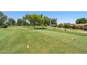Picturesque view of the well-maintained golf course, featuring lush green fairways and mature trees at 1202 Leisure World --, Mesa, AZ 85206