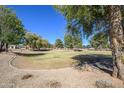 Expansive community green space with mature trees and well-maintained lawn at 17637 W Browning Dr, Surprise, AZ 85374