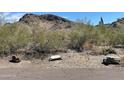 Mountain landscape with natural desert vegetation at 6808 N 26Th St, Phoenix, AZ 85016