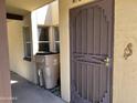 View of the entryway, highlighting the security door and adjacent window with desert-themed accents at 12639 N 113Th Dr, Youngtown, AZ 85363