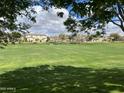 Scenic community park with lush green grass, trees, and neighborhood amenities at 4786 E Laurel Ct, Gilbert, AZ 85234