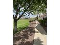Walking path with a well-maintained green belt at 4786 E Laurel Ct, Gilbert, AZ 85234