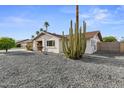 Single-story home with desert landscaping and an interesting cactus adding to the curb appeal at 6134 E Hannibal St, Mesa, AZ 85205