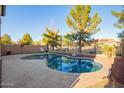 Sparkling backyard pool with patio area and lush landscaping at 9009 S 57Th Dr, Laveen, AZ 85339