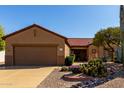 Desert landscaping with cactus and gravel in front of a single story home at 15145 W Woodridge Dr, Surprise, AZ 85374