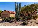 Yard with desert landscaping, including a saguaro cactus and gravel groundcover at 15145 W Woodridge Dr, Surprise, AZ 85374