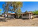 Single-story home with attached garage, covered entry, desert landscaping, bench, and large mature shade tree at 14801 N 39Th Ave, Phoenix, AZ 85053