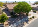 Landscaped front yard with mature tree providing shade to this single-story home at 2381 E Firerock Dr, Casa Grande, AZ 85194