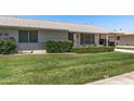 Inviting single-story home with lush green lawn and meticulous landscaping enhancing curb appeal at 19046 N Signal Butte Cir, Sun City, AZ 85373