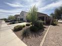 Well-maintained front yard with mature landscaping and a single story home with a covered entryway at 4729 E Chromium Rd, San Tan Valley, AZ 85143