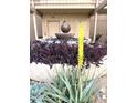 A unique spherical water fountain surrounded by rich purple flora enhances the beauty of the condo community at 5132 N 31St Way # 123, Phoenix, AZ 85016