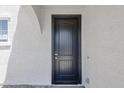 Elegant black front door with vertical panels and a modern digital lock system at 18244 W Daley Ln, Surprise, AZ 85387