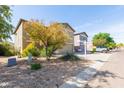 Two-story home with a tan stucco exterior, two-car garage, and low-maintenance desert landscaping at 1037 E Dust Devil Dr, San Tan Valley, AZ 85143