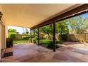 Covered patio with desert landscaping, orange tree, and gas grill, perfect for entertaining at 930 E Citation Ln, Tempe, AZ 85284