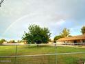 Beautiful backyard featuring a large fenced lawn, shade tree, and house beneath a rainbow at 19322 E Calle De Flores --, Queen Creek, AZ 85142