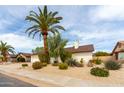 Charming single-story home featuring a well-maintained desert landscape and mature trees at 4038 E Wescott Dr, Phoenix, AZ 85050