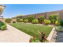 Spacious backyard featuring low maintenance landscaping, lush greenery and a patio at 5962 E Abraham Ln, Phoenix, AZ 85054