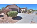 Landscaped home exterior with a paved driveway, desert landscaping, and plants at 2623 E Marcos Dr, Casa Grande, AZ 85194