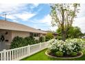 Landscaped front yard with mature trees, flowering shrubs, and a neatly trimmed lawn enhancing the property's curb appeal at 2017 W Edgemont Ave, Phoenix, AZ 85009