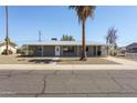 Single-story home boasts a charming curb appeal with a manicured lawn, palm tree, and gray exterior at 5455 E Baltimore St, Mesa, AZ 85205