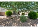 The front yard features mature trees, manicured bushes and desert landscaping at 2167 W Ethan Ct, San Tan Valley, AZ 85144