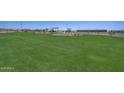Expansive community lawn area with seating and landscaping, perfect for outdoor activities at 24215 W Hidalgo Ave, Buckeye, AZ 85326