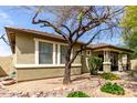 Beautiful single-Gathering home with desert landscaping and a spacious front yard at 3343 E Ivanhoe St, Gilbert, AZ 85295