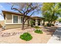 Well-maintained home exterior with desert landscaping and mature trees at 3343 E Ivanhoe St, Gilbert, AZ 85295