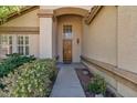 Inviting front entrance with a wooden door, decorative window, and manicured bushes at 2313 E Gondola Ln, Gilbert, AZ 85234