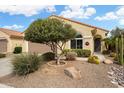 Charming single-story home featuring a well-manicured front yard with desert landscaping and a mature tree at 27030 W Escuda Dr, Buckeye, AZ 85396