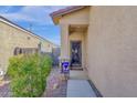 Welcoming front porch with decorative door, stone accents, and inviting decor at 4027 W Copperleaf Dr, San Tan Valley, AZ 85144