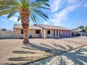 Charming single-story brick home featuring a mature palm tree and low-maintenance desert landscaping at 4139 W Anderson Dr, Glendale, AZ 85308