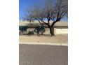 Well maintained single-story home with a two-car garage and a front yard tree at 4741 W Annette Cir, Glendale, AZ 85308