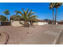 Well maintained desert landscape in front of a home with a brick sidewalk and palm trees at 1716 N Temple St, Mesa, AZ 85203