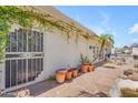 A backyard patio with stone floor and climbing vines on the walls at 11465 N 56Th St, Scottsdale, AZ 85254