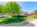 Landscaped front yard with lush green grass, a decorative tree, and neatly trimmed hedges at 579 E Mary Ct, Gilbert, AZ 85295