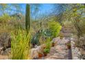Beautiful backyard with a stone path, lush landscaping, and potted red flowers at 6301 N Camelback Manor Dr, Paradise Valley, AZ 85253