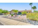 Beautiful single-story home with desert landscaping featuring palm trees and stone accents at 10543 E Sahuaro Dr, Scottsdale, AZ 85259