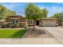 Beautiful single-story home with a well-manicured lawn, mature tree, and a two car garage at 18543 E Purple Sage Dr, Queen Creek, AZ 85142