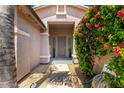 Inviting front entryway featuring a decorative door with glass block accents and colorful landscaping at 2698 E Carla Vista Dr, Gilbert, AZ 85295