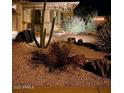 Night view of the landscaped front yard featuring desert landscaping at 289 W Ironhorse Ln, San Tan Valley, AZ 85143