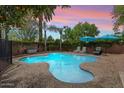 Backyard pool surrounded by mature landscaping, lounge chairs, and shady umbrellas, perfect for relaxation at 601 E Winter Dr, Phoenix, AZ 85020
