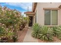 Inviting front entrance with blooming bushes, vibrant landscaping, and a charming walkway at 1172 S 229Th Dr, Buckeye, AZ 85326