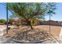 Charming single-story home with desert landscaping and a decorative tree in the front yard at 12033 W Davis Ln, Avondale, AZ 85323