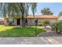 Charming single-story home with a lush green lawn, mature tree, and a welcoming front entrance at 19258 N 20Th Dr, Phoenix, AZ 85027